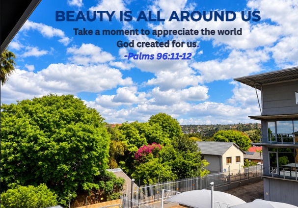 Beauty is All Around Us Nature Photography